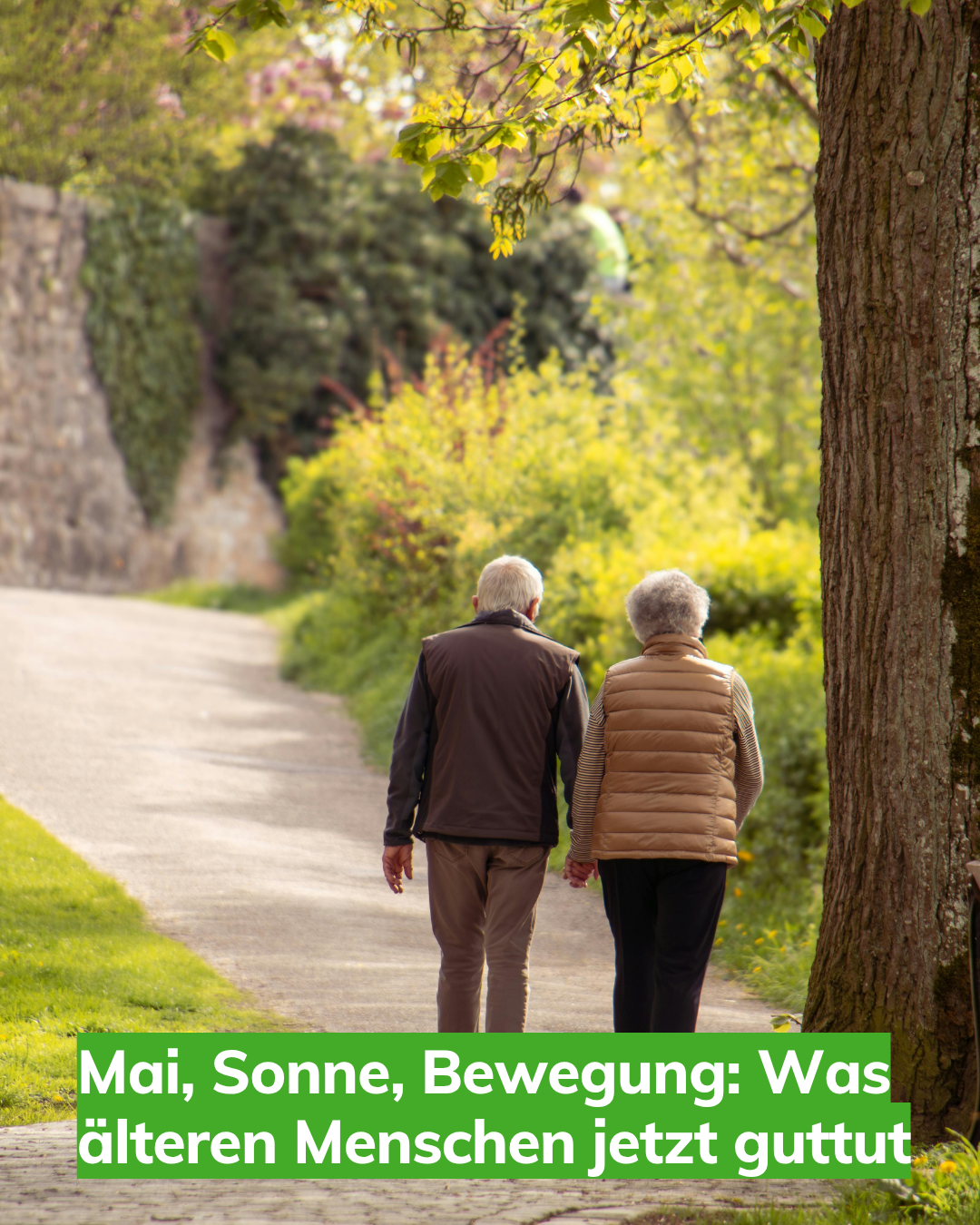 Das Bild zeigt ein altes Pärchen, dass durch den Park spaziert, symbolisch für Mai, Sonne, Bewegung: Was älteren Menschen jetzt guttut